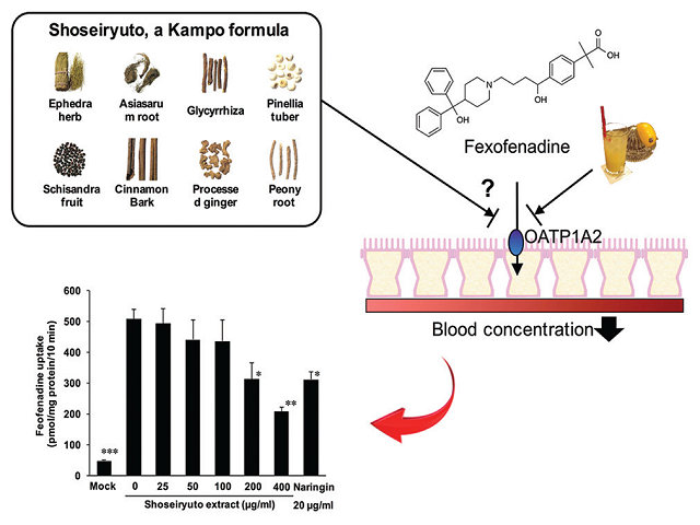 Graphical Abstract