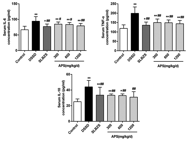  Effects of Astragalus polysaccharides on serum cytokine levels in dampness stagnancy due to spleen deficiency rats