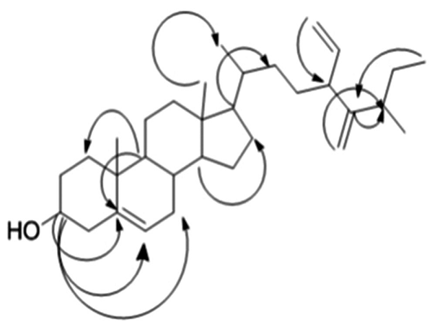 Heteronuclear multiple bond correlation correlations of  turbiconol