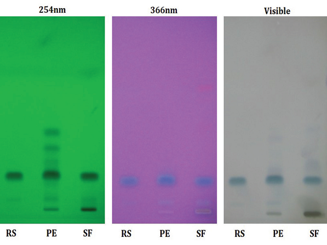  Thin-layer chromatography of Piperine at 254 nm, 366 nm, and  in visible light
