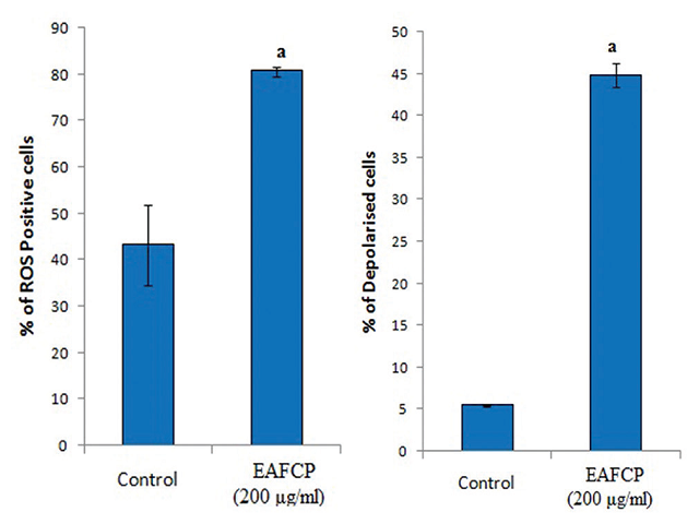  Determination of  (a) reactive oxygen species