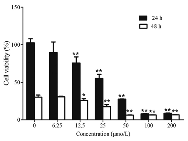 Michigan Cancer Foundation-7 viability (%) exposed to different  concentrations and different incubation periods