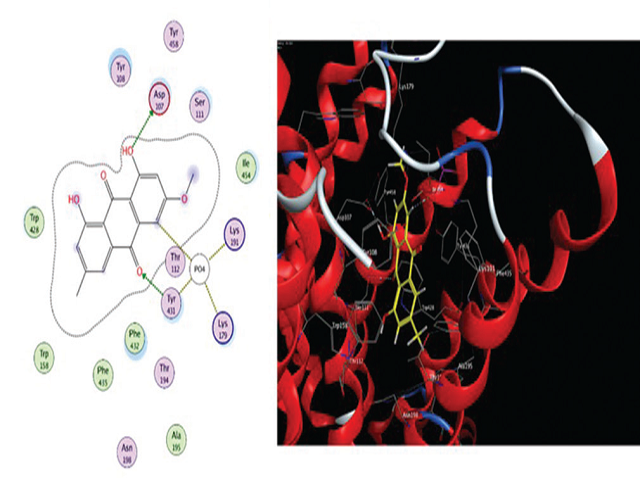  (a) Two-dimensional and (b) three-dimensional interactions of  compound 5 with the human histamine H1  receptor