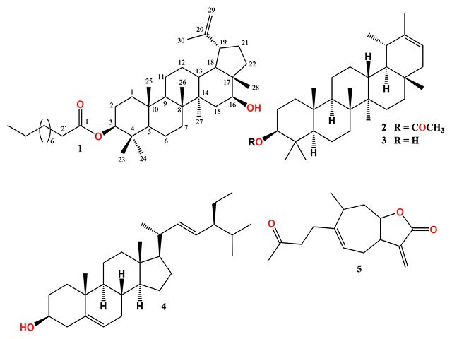  Structures of isolated compounds 1–5