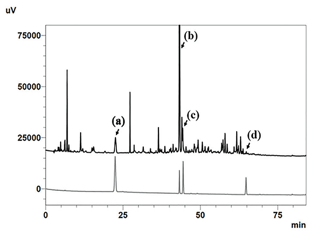  Component analysis of FDY003 by high-performance liquid  chromatography