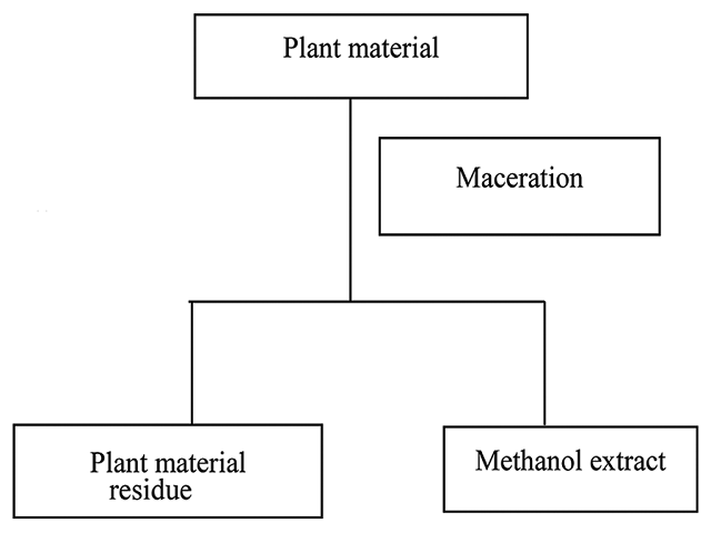  Extraction scheme of plants