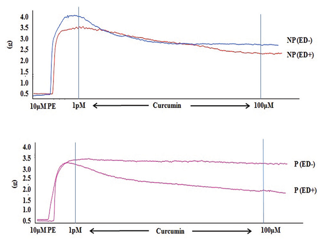 Representative raw trace showing effect of curcumin 