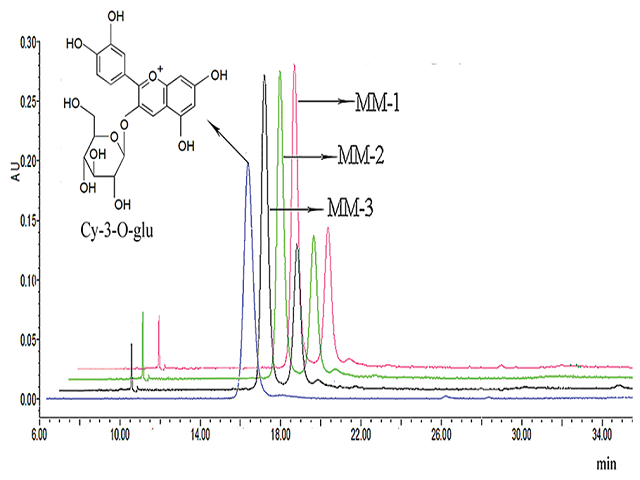  High-performance liquid chromatography chromatogram