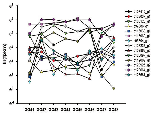  Trends in CO expression
