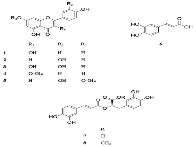  Chemical structures of isolated compounds (1 − 8)