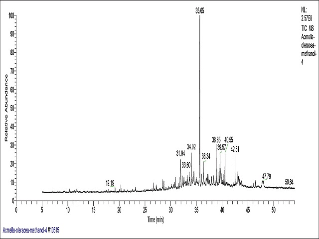 Gas chromatogram of the methanol extract of Acmella oleracea. Total retention time is 55 min