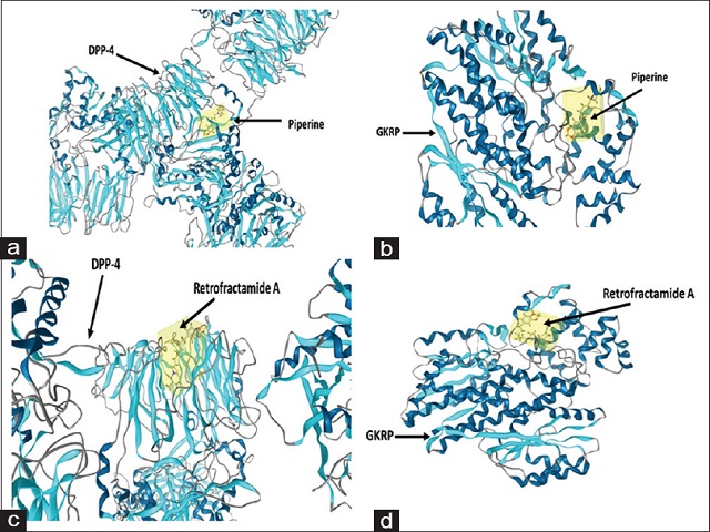  Docked complexes of  (a) piperine with dipeptidyl  peptidase-4, (b) piperine with GKRP