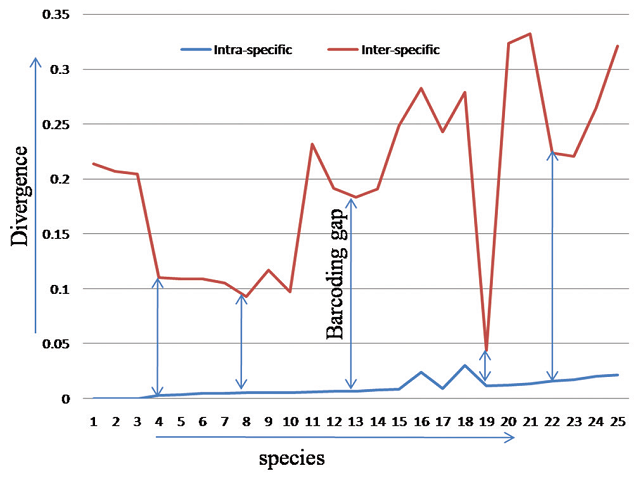  Barcoding gap due to inter- and intra-specific divergence