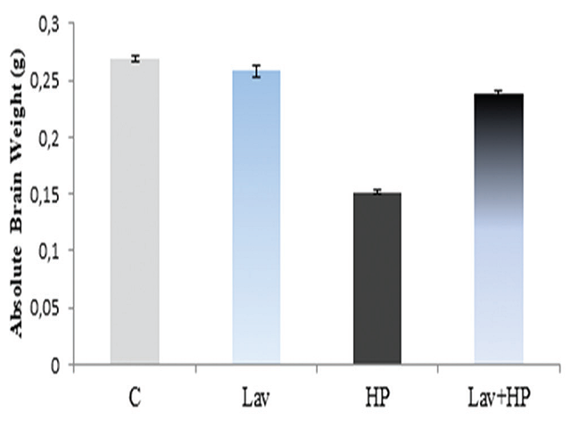  Variations in brain weights of mice after 6  weeks of  treatments in controls