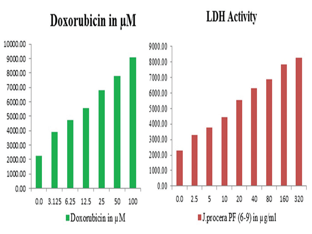 Graphical representation of lactate dehydrogenase enzyme generation by Juniperus procera on cancer cells