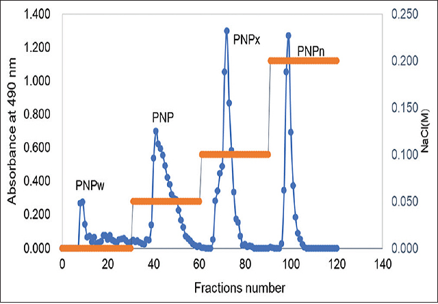  Isolated of crude polysaccharide by DEAE-cellulose column  (26 mm × 300 mm)