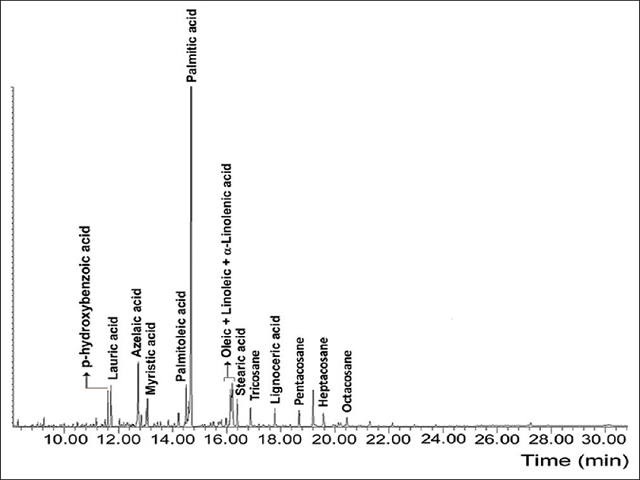  Gas chromatography-mass spectrometry profile of the  derivatized chloroform