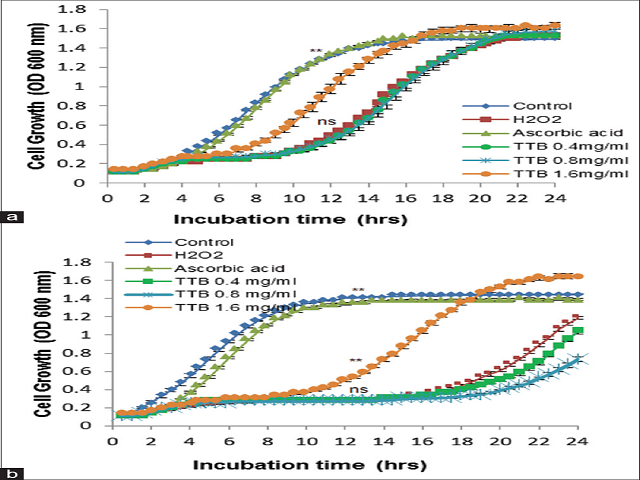 (a) Exponential growth curve for WT yeast strains