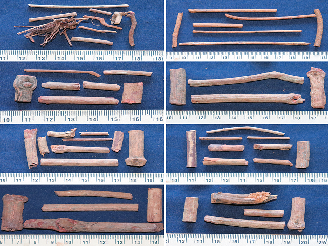 Macroscopy of the samples of Manjishta. (a and b). Genuine sample; (a) Rubia cordifolia root; (b) Rubia cordifolia stolon; (c‑h). Market samples; (c) Ernakulam; (d) Kottakkal; (e) Kannur; (f ) Kozhikode; (g) Thrissur; (h) Thiruvananthapuram