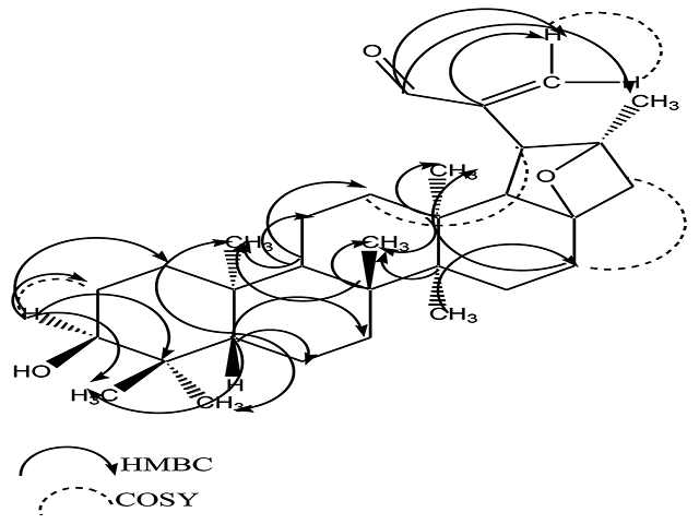 HMBC, COSY 450 & NOESY correlations of compound 4