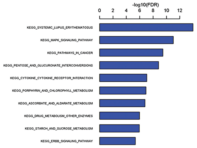 Kyoto Encyclopedia of Genes and Genomes signal pathway analysis of differentially expressed genes (top 10). The bar plot shows the enrichment scores (−log10[false discovery rate]) of significant enrichment Kyoto Encyclopedia of Genes and Genomes pathway analysis (false discovery rate <0.05 is recommended)