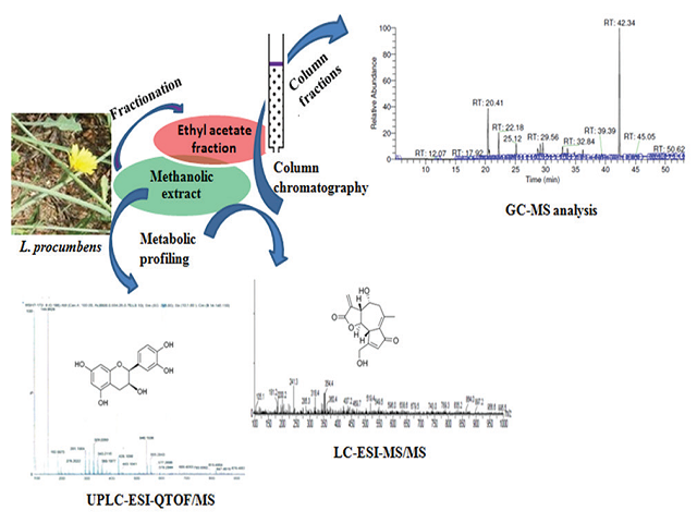 Identification and Characterization of Compounds from Methanolic Extracts of Launaea procumbens by Gas Chromatography‑MS, Liquid Chromatography‑Electrospray Ionization‑MS/MS, and Ultra‑Performance Liquid Chromatography‑Electrospray Ionization‑Quad Time of Flight/ MS