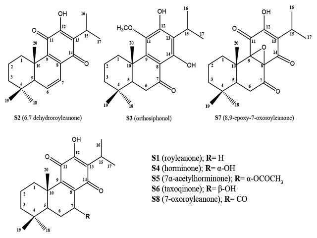 Chemical structures of compounds S1‑S8