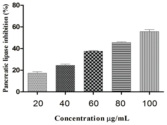 Effect of RoseFit on pancreatic lipase activity. The values are mean ± standard error of the mean of three independent experiments