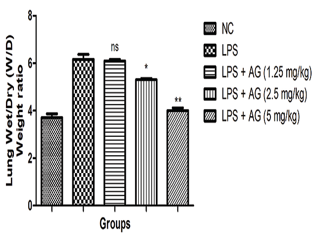 Showed the effect of astragaloside IV on the lung weight ratio of LPS induced lung inflammation in standard deviation rats