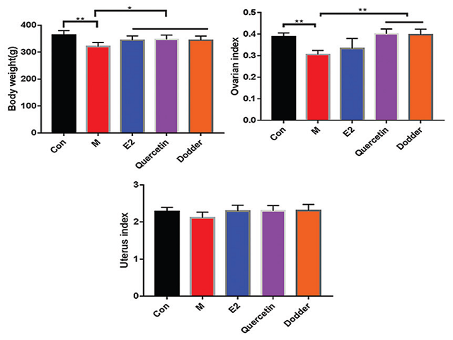Effects of quercetin and flavonoids extracted from Cuscuta chinensis Lam.