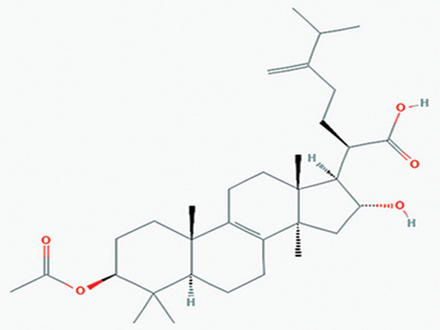 The chemical structure of pachymic acid