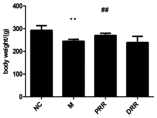 Effect of Rehmanniae Radix on body weight of rats. After administration 15 consecutive days, measured body weight. Data are mean ± Standard deviation, n = 10 rats per group