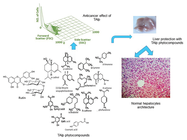 Chemopreventive Strategies of Teucrium alopecurus de Noé Water Insoluble Fraction for Hepatocarcinogenesis in Lipopolysaccharide‑Induced Mice Models: Pharmacological Attributes