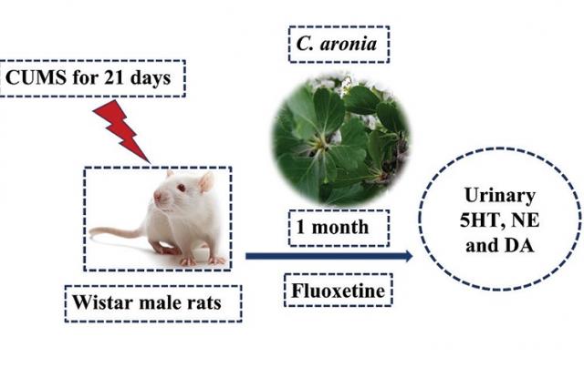 Evaluation of the antidepressant-like activity of the aqueous extract of Crataegus aronia