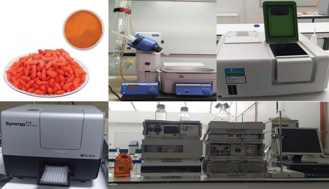 Protective effect of Lycium barbarum on renal injury induced by acute pancreatitis in rats