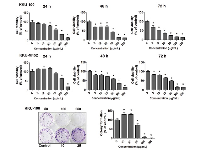 Anticancer effects of Piper nigrum extract against cholangiocarcinoma cells