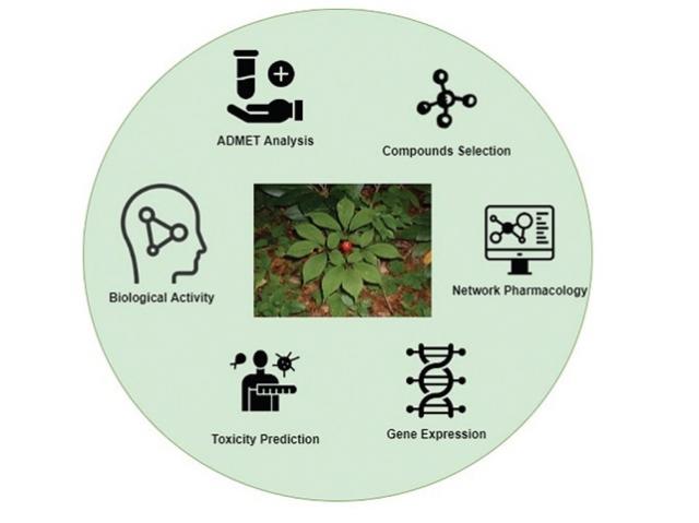 Network pharmacology analysis with molecular docking of phytochemicals of Panax ginseng against osteosarcoma