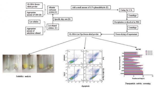 Synthesis, characterization, and anti-hepatocellular carcinoma effect of glycyrrhizin-coupled bovine serum albumin-loaded luteolin nanoparticles