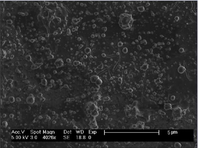 Scanning electron microscopy of O-TC