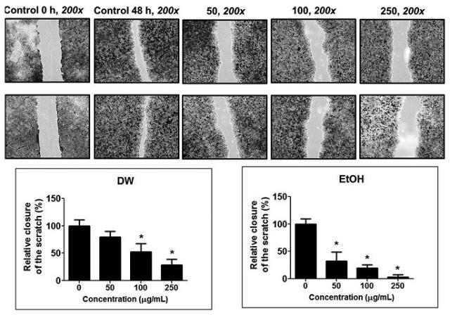 Cratoxylum formosum leaf extracts inhibit growth, induce apoptosis, and decrease metastasis of hela human cervical cancer cells