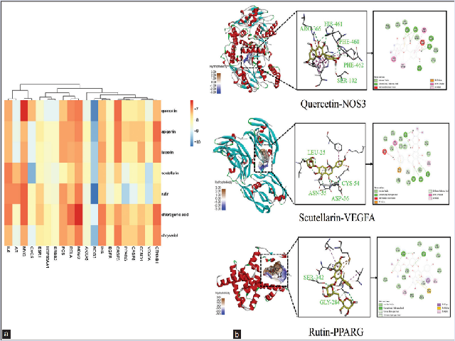 Molecular docking results. (a) Molecular docking heatmap; (b) Molecular docking mode of partial active ingredients