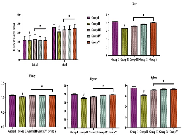 Effect of esculetin on the bodyweight and organ index in the experimental rats.