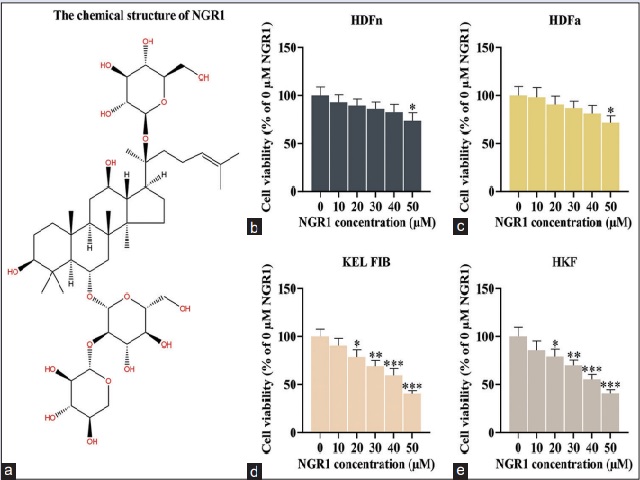 : NGR1 treatment exerted an inhibitory effect on cell viability of normal fibroblasts