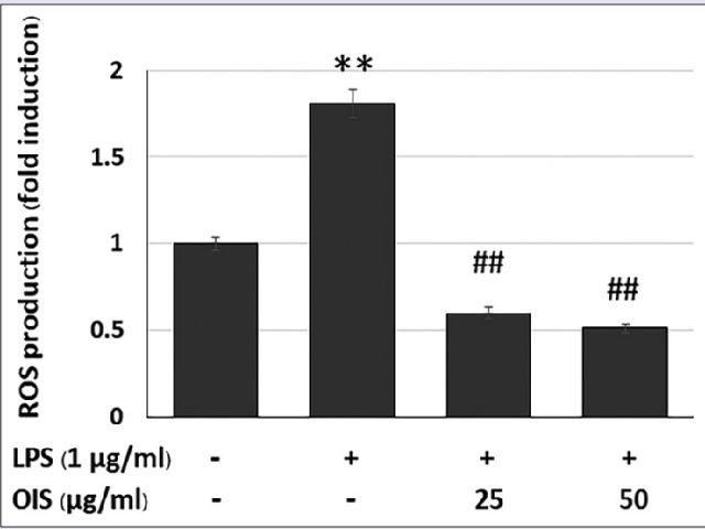 Effect of OIS extract on LPS-induced intracellular ROS levels
