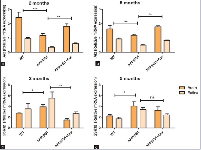 Effect of curcumin administration for 2 weeks on the gene expression of Akt at 2 months