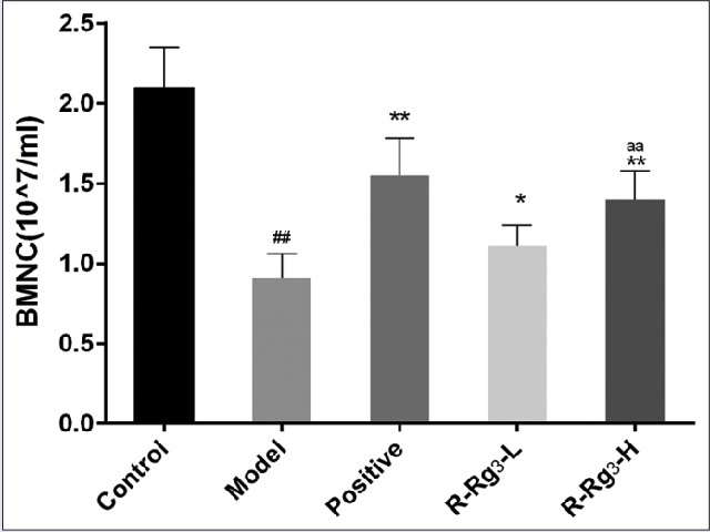 Effect of R-Rg3 on the number of BMNC (n = 6)