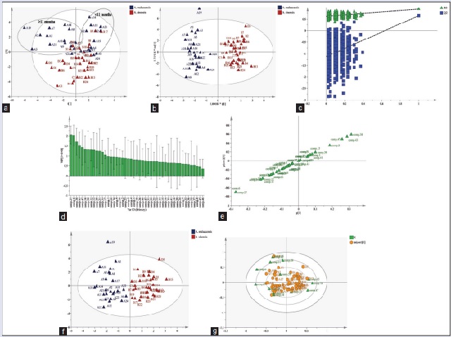 PCA score plots of 47 secondary metabolites (a), OPLS-DA results (b), Permutation test (c), Variable Important Plot 