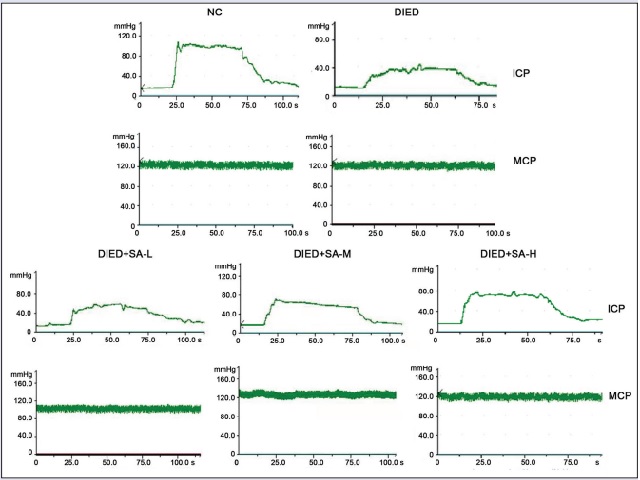 The ICP and MAP with the following stimulation parameters: 5 V, 25 Hz, 2 ms, and 1 min in three groups (NC, n = 8; DIED, n = 8; DIED+AS, n = 8)