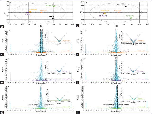  The principal component analysis (PCA) and Variable importance in the projection