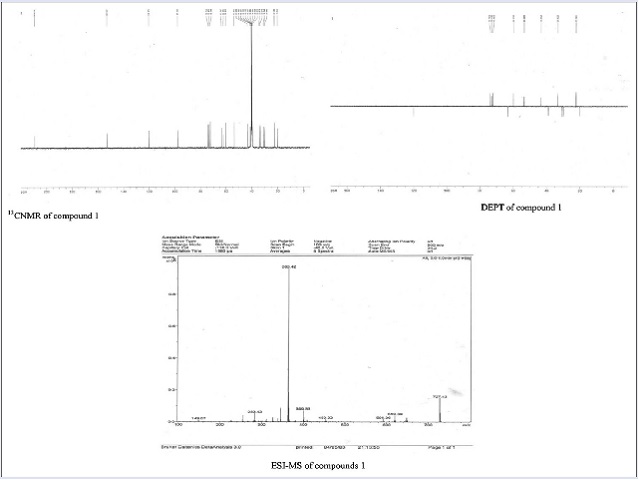 13CNMR spectrum and MS spectrum of compound 1